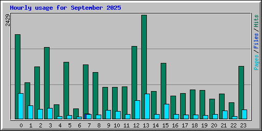 Hourly usage for September 2025