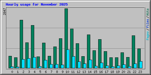 Hourly usage for November 2025