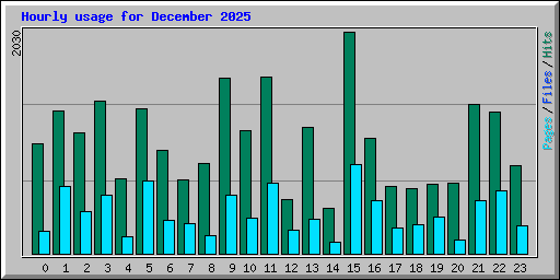 Hourly usage for December 2025