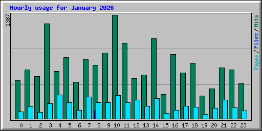 Hourly usage for January 2026