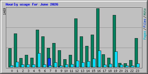 Hourly usage for June 2026