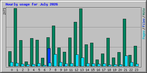 Hourly usage for July 2026